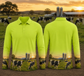 Dairy Holstein