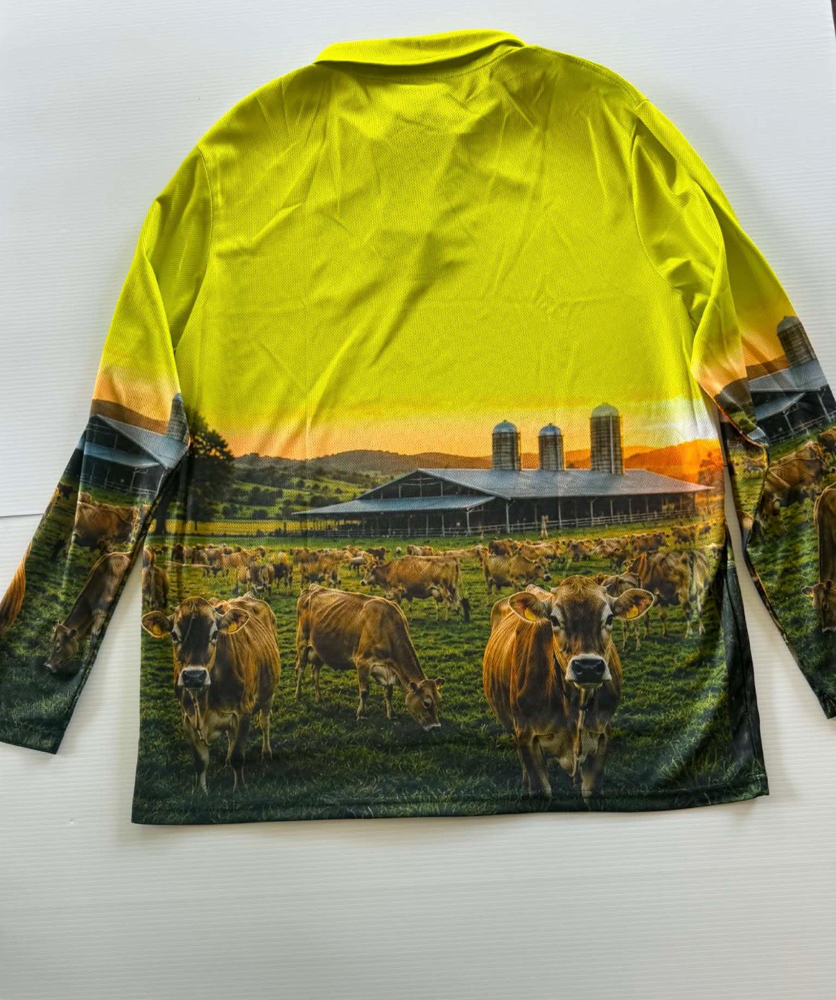 Dairy Jersey